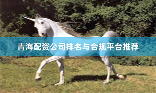 青海配资公司排名与合规平台推荐